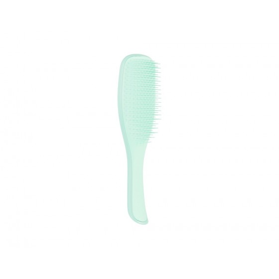 Brush Wet Detangler Fine&Fragile Mint (Green), Tangle Teezer